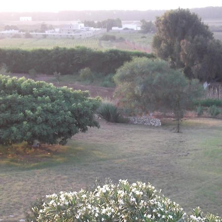Dar Al Manar Ξενοδοχείο El Jadida Εξωτερικό φωτογραφία