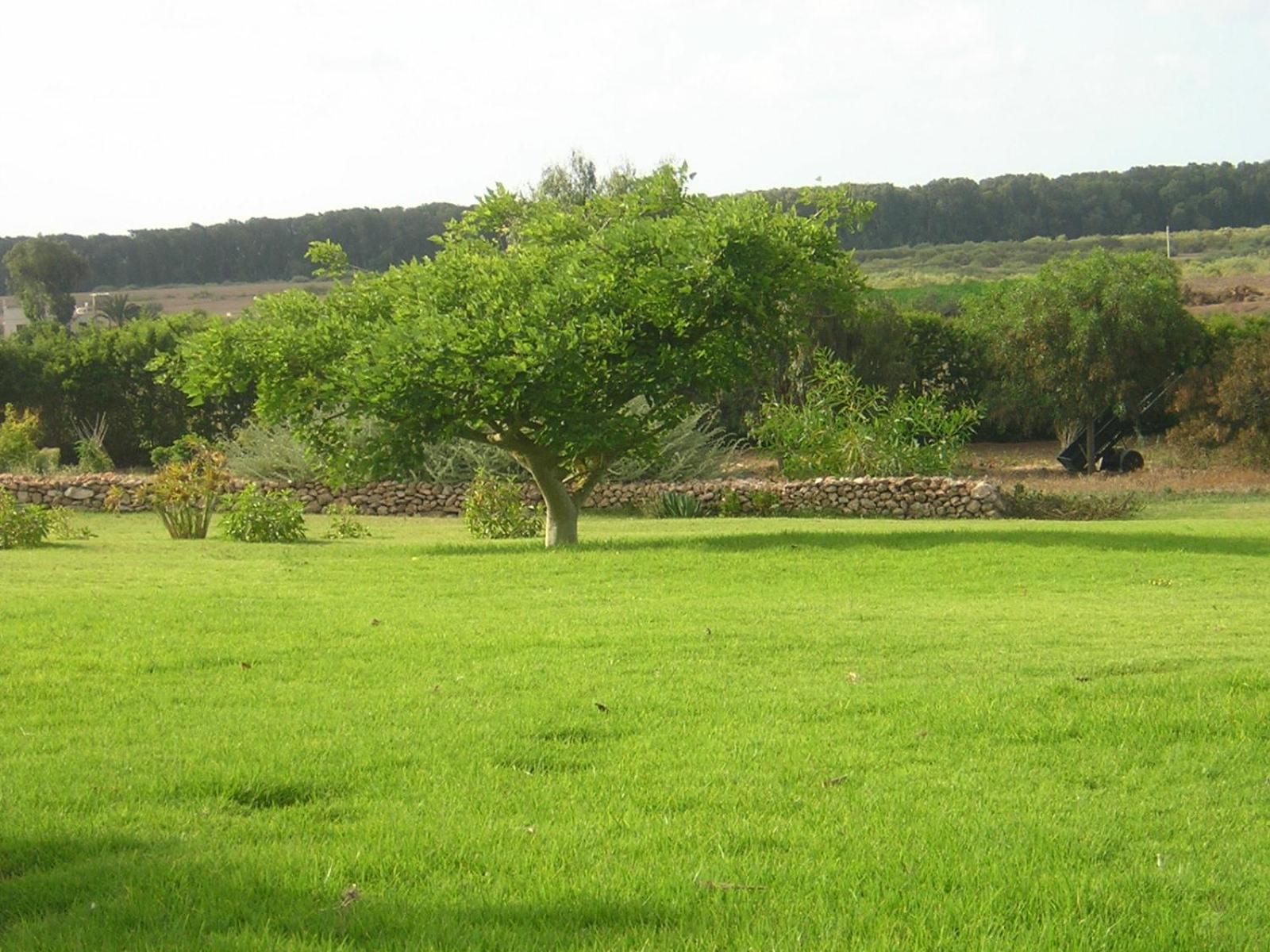 Dar Al Manar Ξενοδοχείο El Jadida Εξωτερικό φωτογραφία