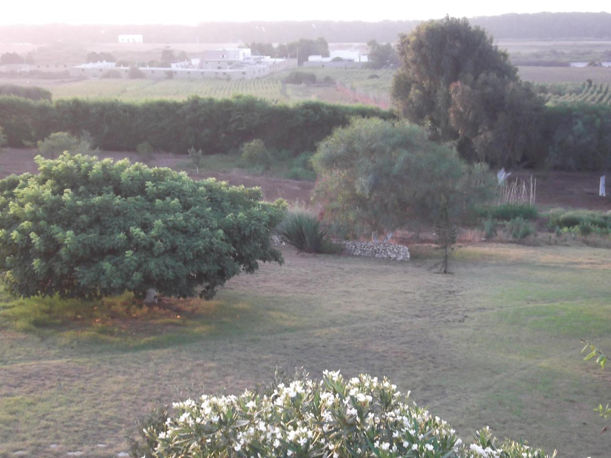 Dar Al Manar Ξενοδοχείο El Jadida Εξωτερικό φωτογραφία
